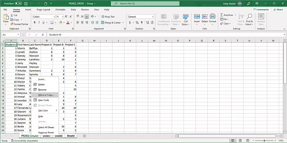 Excel Wont Save Common Errors and Solutions Move or Copy